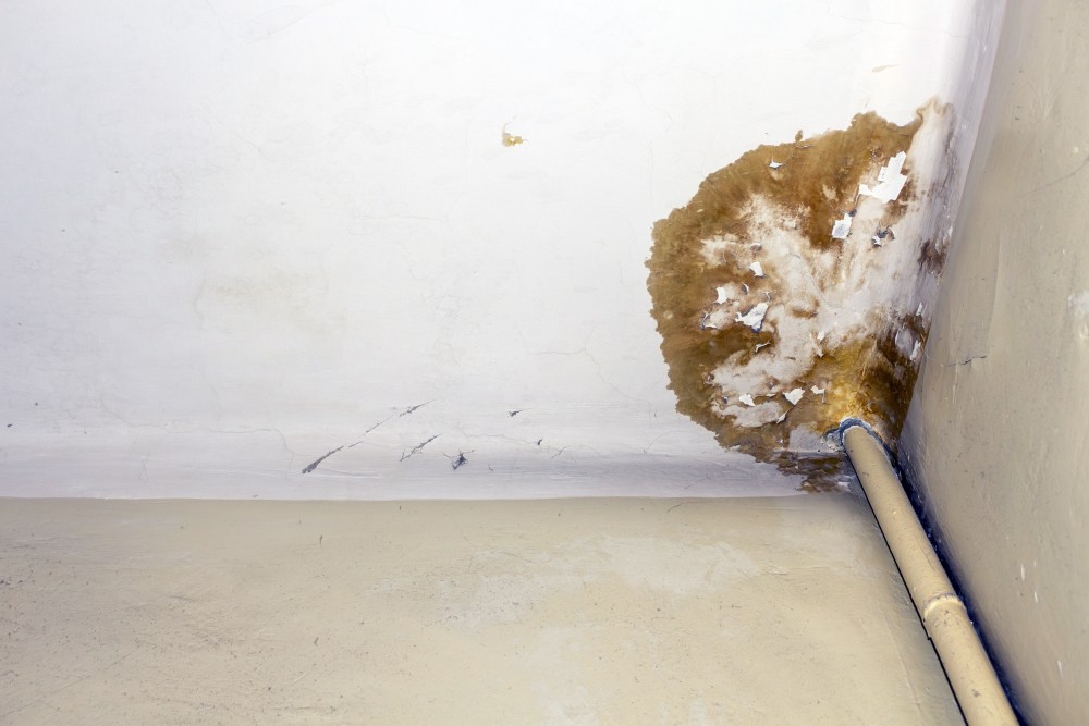 Hidden Plumbing Leaks 6 Signs You Might Have One